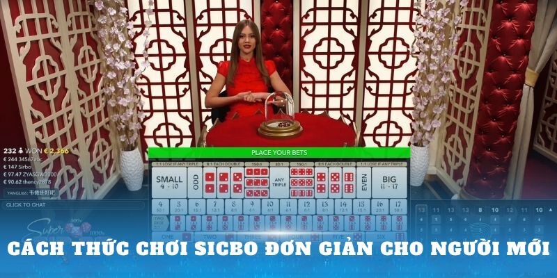 Cách thức chơi Sicbo cực kỳ dễ dàng cho tân thủ